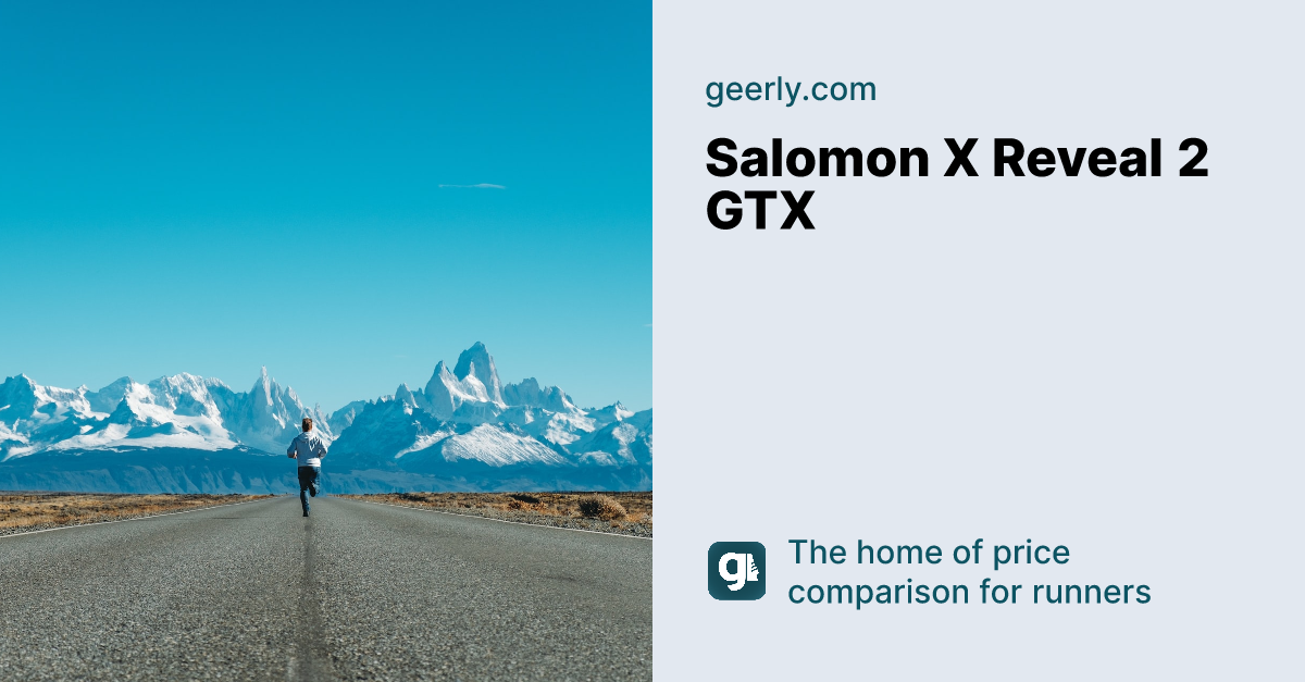 salomon elevate 2 gtx